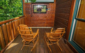 Mountain Getaway and a Theater Gatlinburg